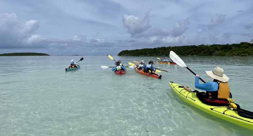 A group of people paddle colorful kayaks on clear water. 